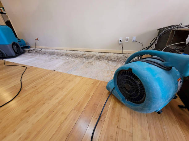 Professional Basement Flood Cleanup technician working in Perry, KS